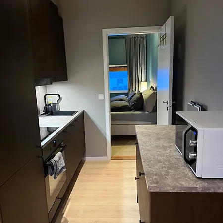 Apartment For Groups & Families - Near Centre & Rooftop Terrace! Tromsø